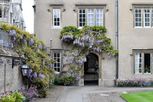 Sidney Sussex College