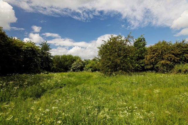 Bramblefields local nature reserve