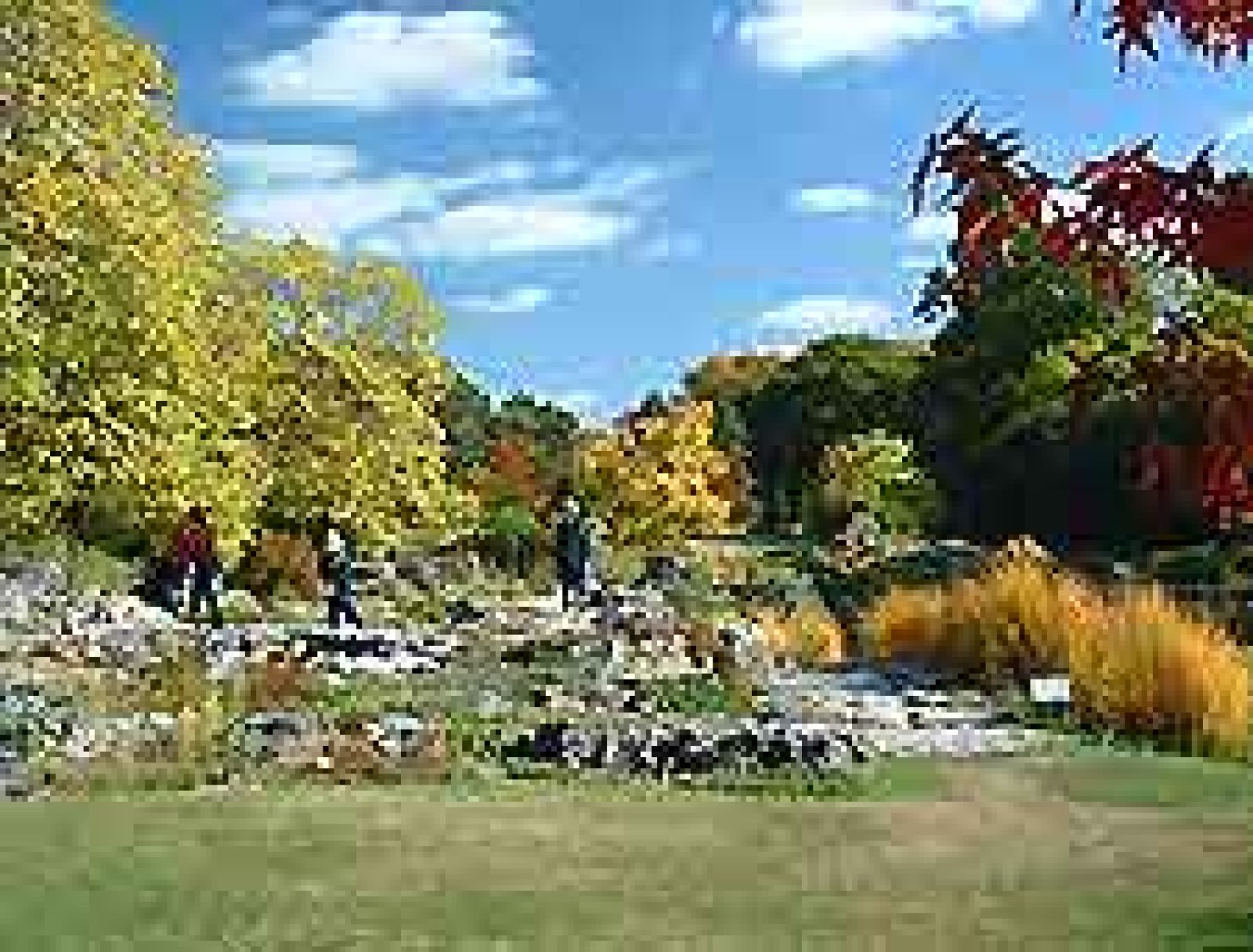 Local Nature Reserve