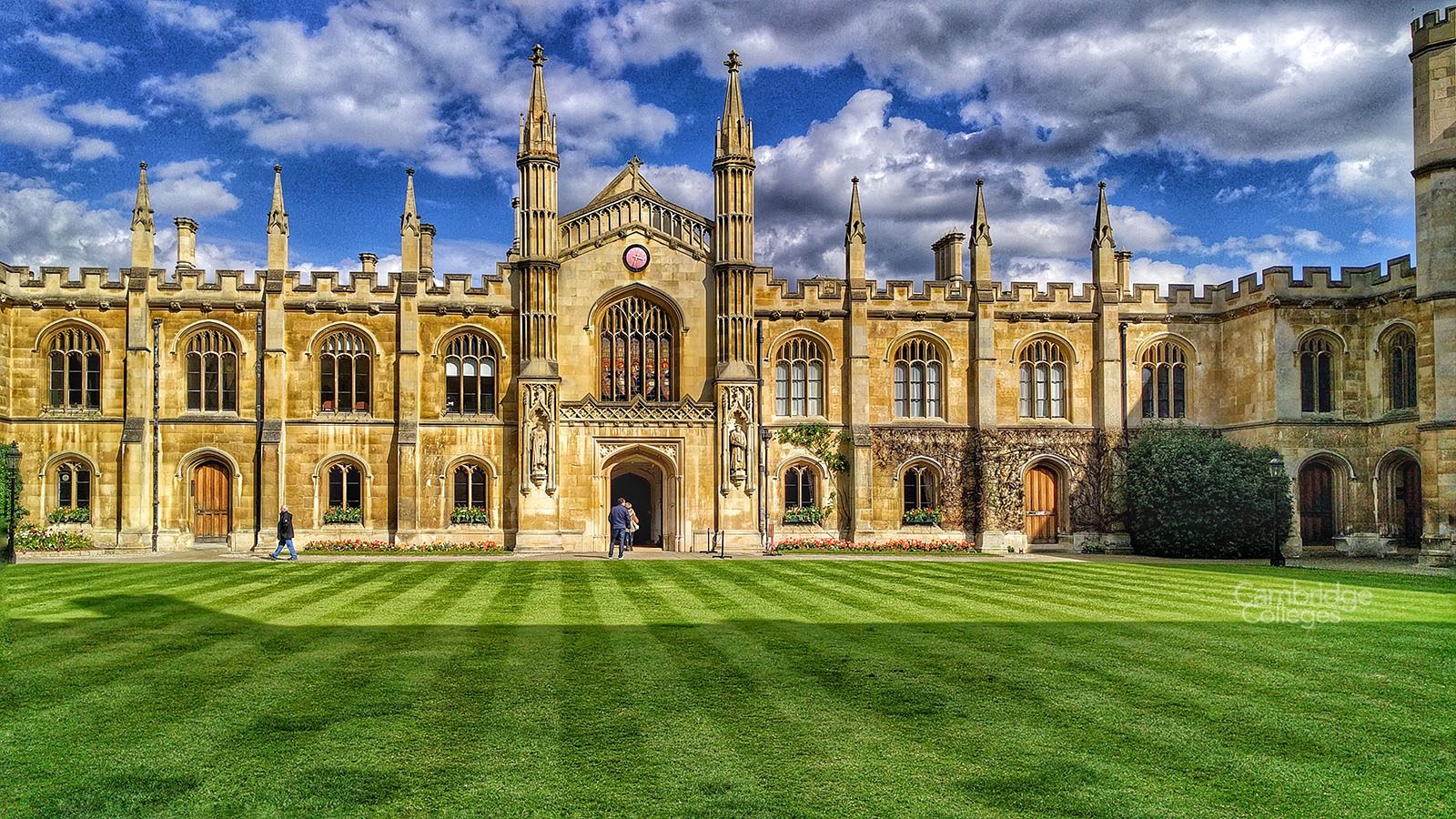 Universities & Colleges
