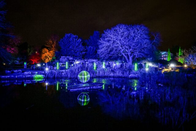 Cambridge Botanic Lights