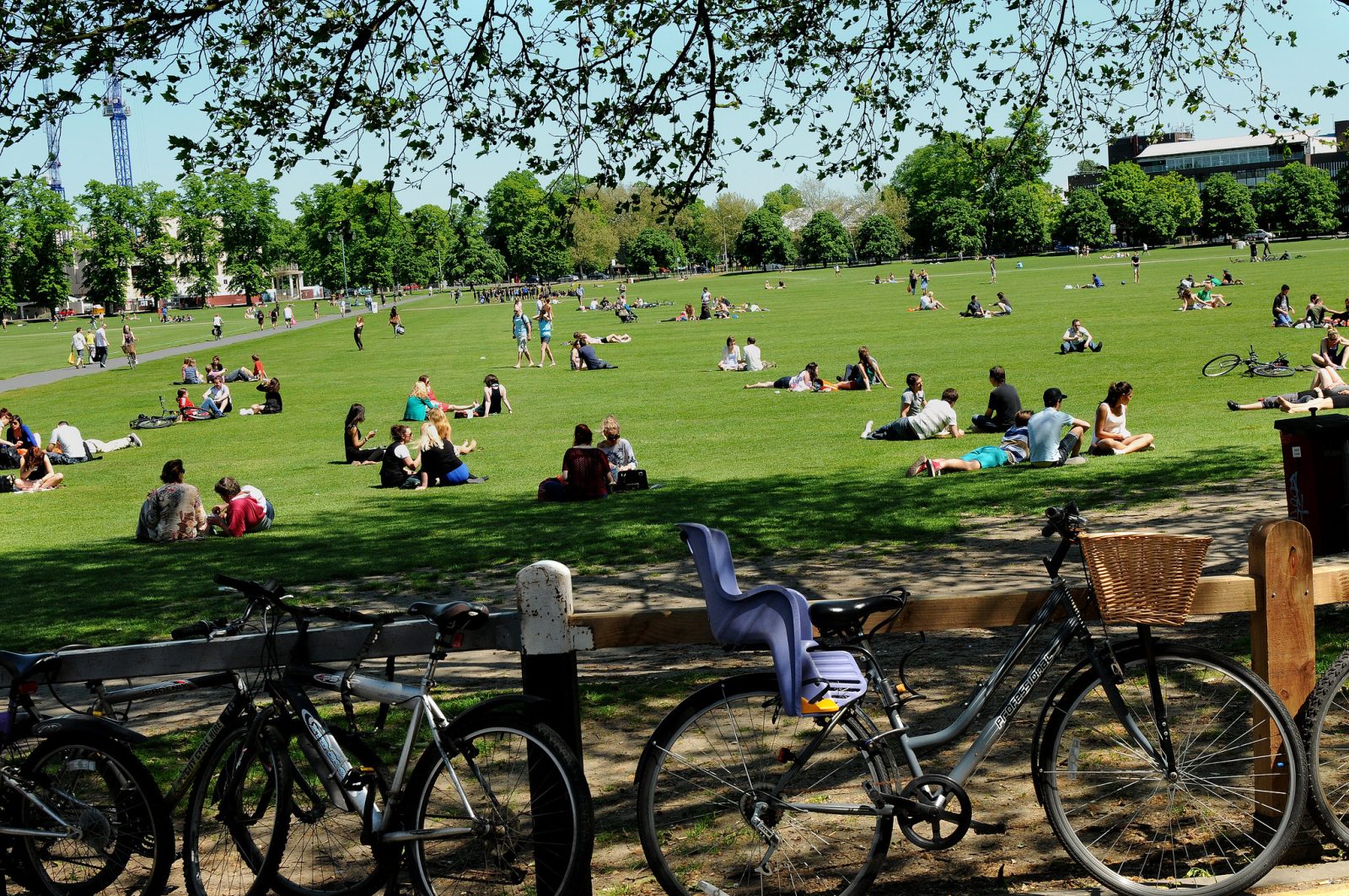 Parks & Open Spaces