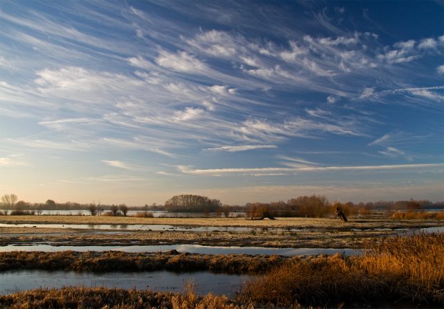RSPB