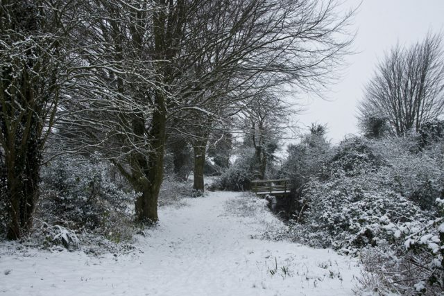 Nine Wells local nature reserve