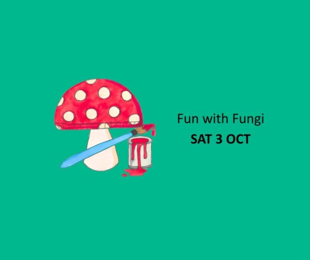 Fun with Fungi