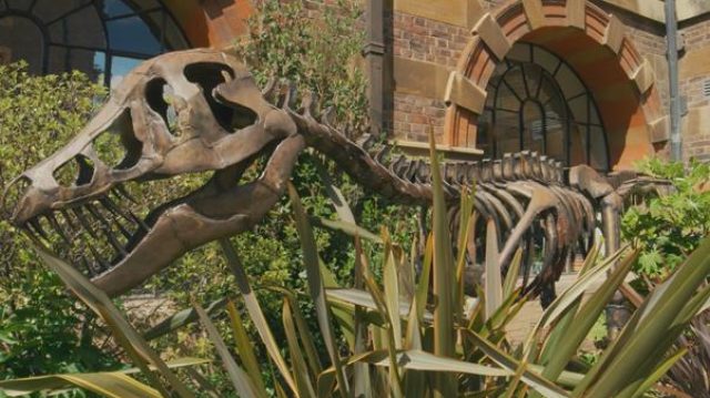 Sedgwick Museum of Earth Sciences