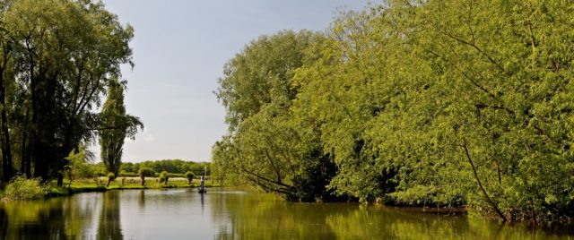 Sheep’s Green