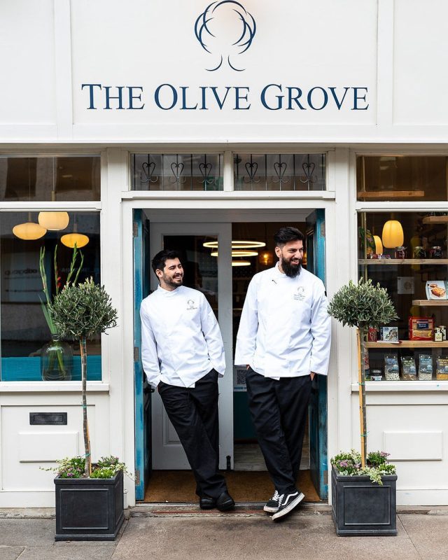 The Olive Grove