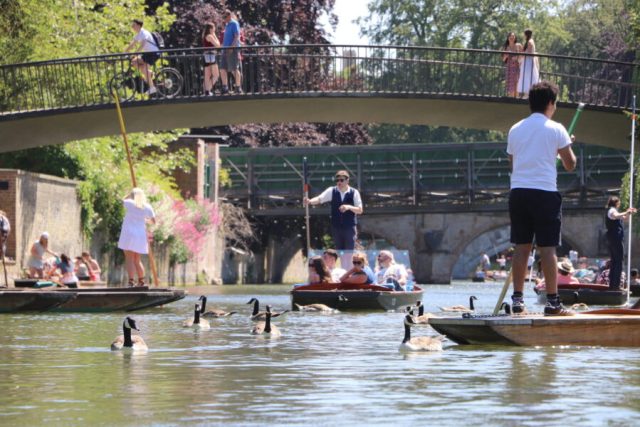 Traditional Punting Company